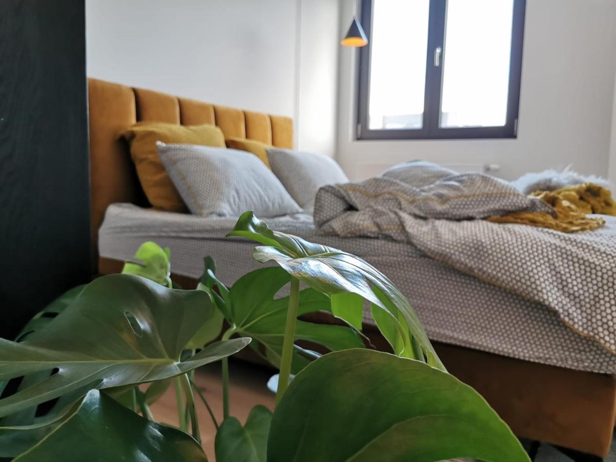 The Penthouse, Oasis Of Light And Inspiration Apartment Anvers Exterior foto